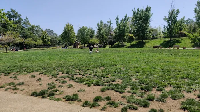 Ashley Off Leash Dog Park 1