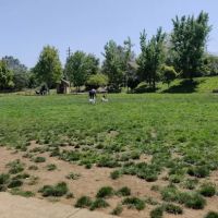 Ashley Off Leash Dog Park ico
