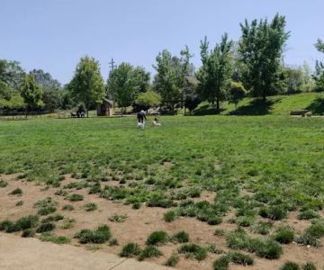 Ashley Off Leash Dog Park