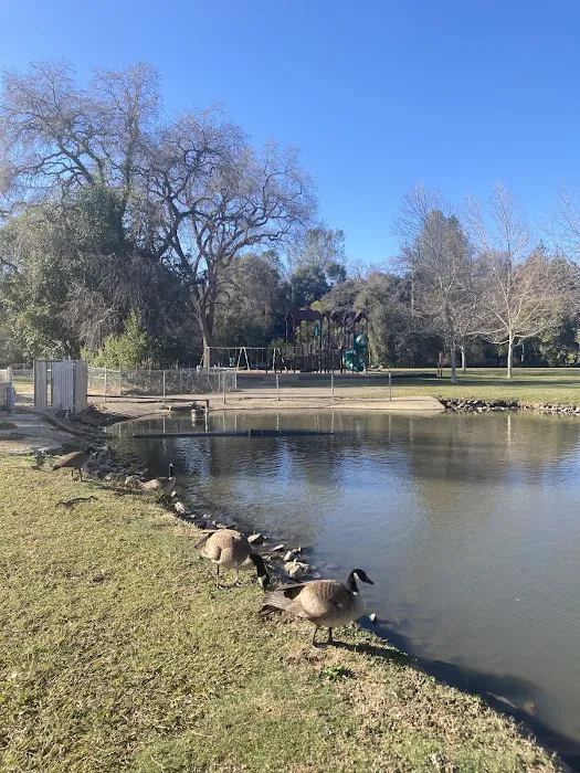 Ashley Off Leash Dog Park 5