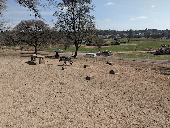 Ione Dog Park 2