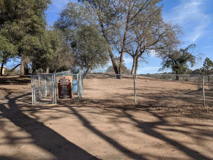 Ione Dog Park 4