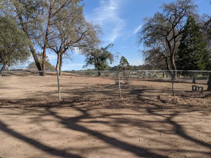 Ione Dog Park 3