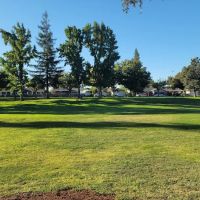 Vinewood Park ico