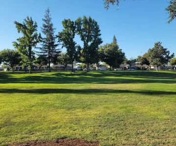 Vinewood Park