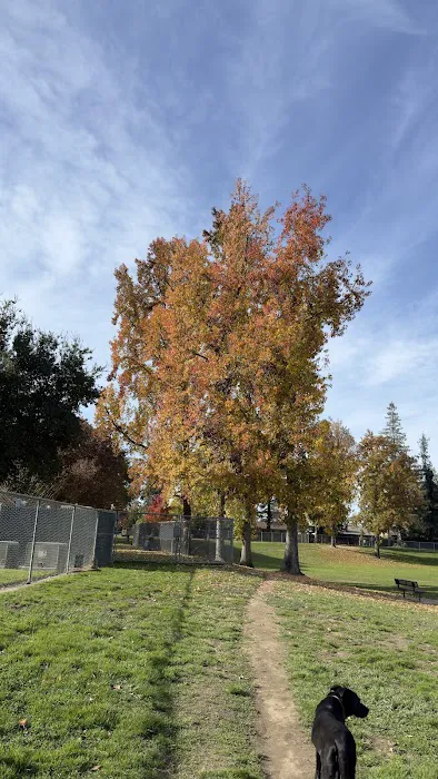 Vinewood Park 3