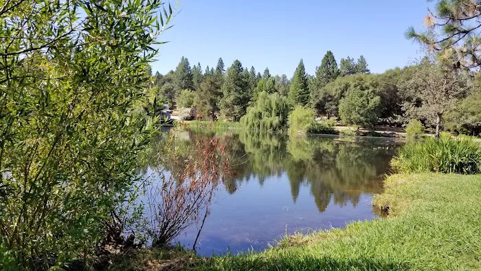 LOP Dog Park - Private to LOP Residents 6