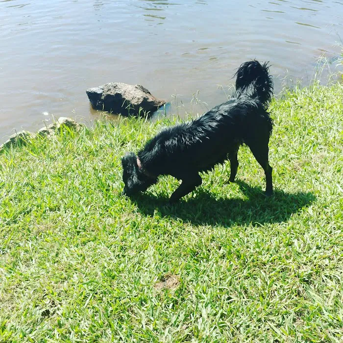 LOP Dog Park - Private to LOP Residents 3