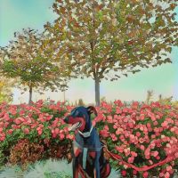 Large Dog Park | Cordelia Community Park, ico