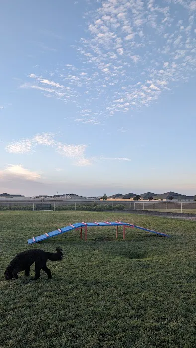 Dog park 5