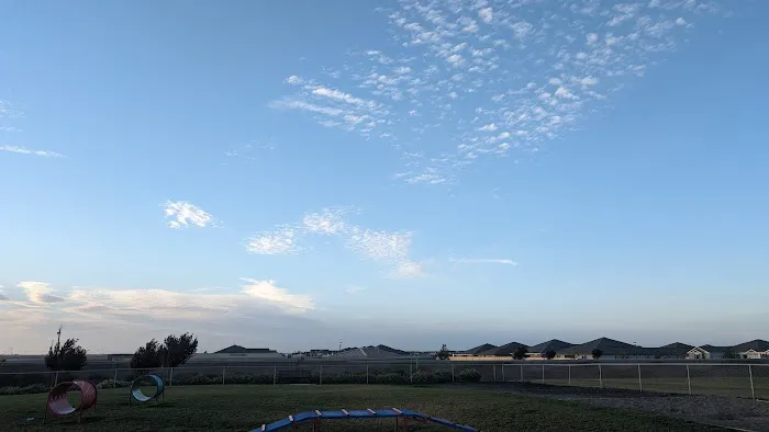 Dog park 1