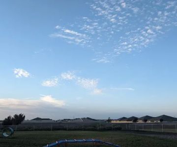 Dog park
