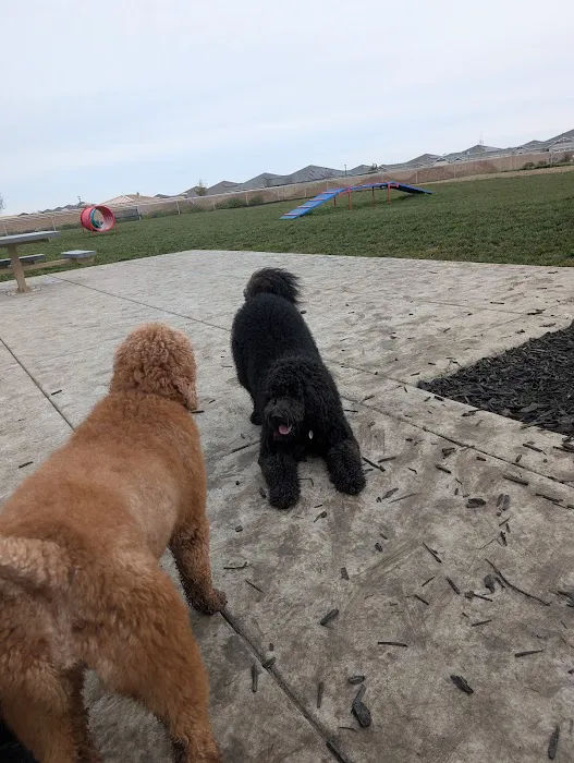 Dog park 4