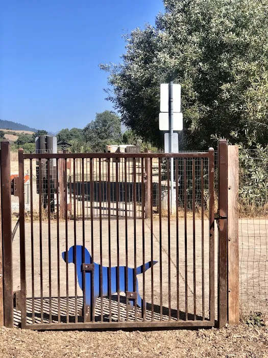 Canine Commons 3