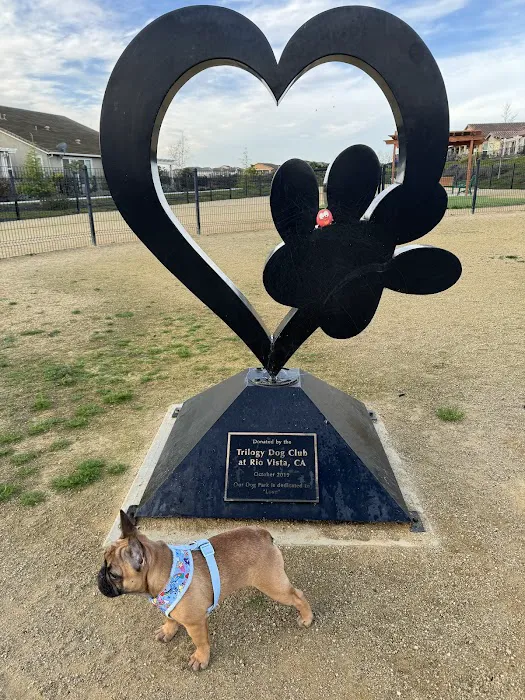 Trilogy at Rio Vista Dog Park 2