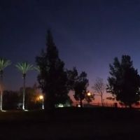 Trilogy at Rio Vista Dog Park ico