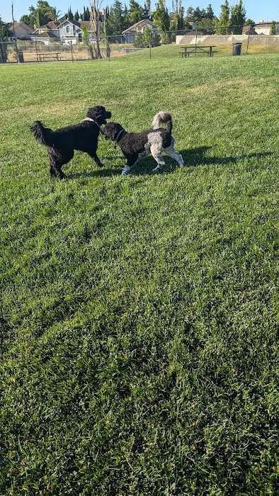Val de Flores Dog Park 2