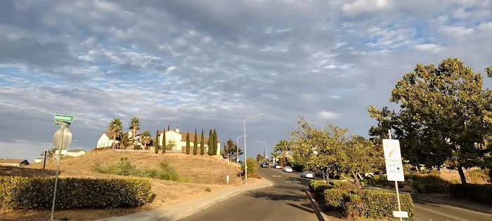 Dog Park 6
