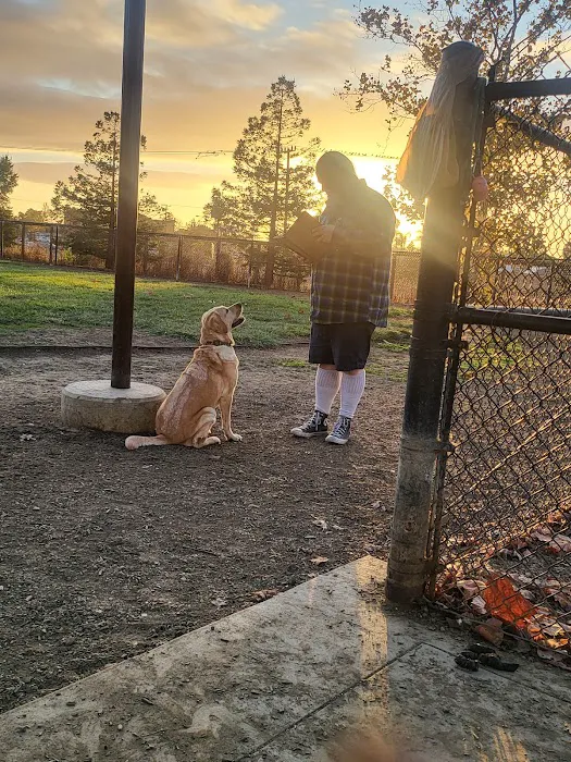 Dog Park 9