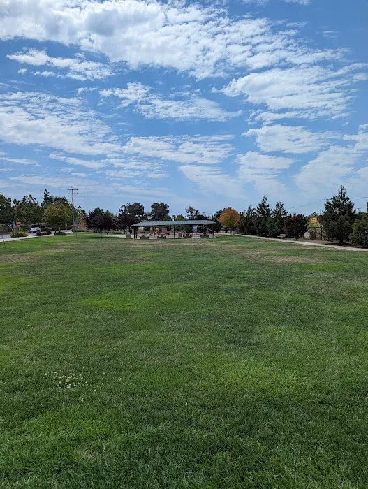 Dog Park 4