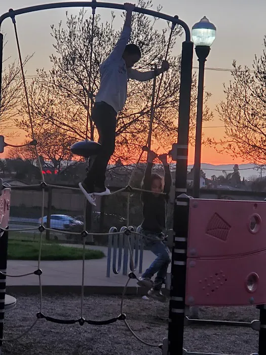 Dog Park 3