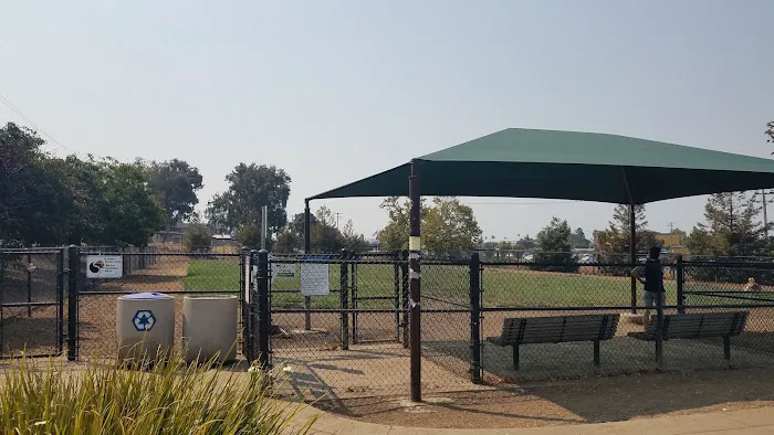 Dog Park 1