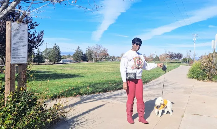Dog Park 5