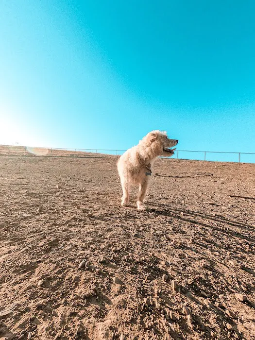 Benicia Dog Park 1