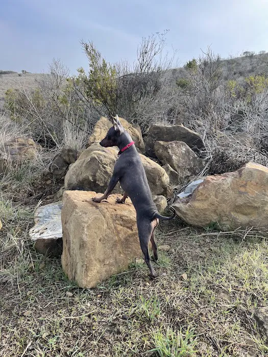 Benicia Dog Park 7