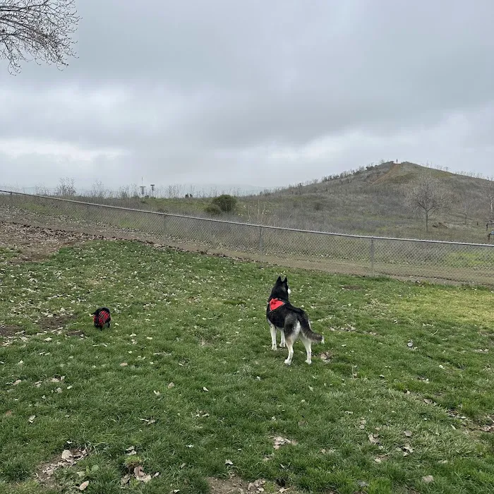 Benicia Dog Park 8