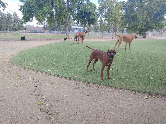 Benicia Dog Park 6