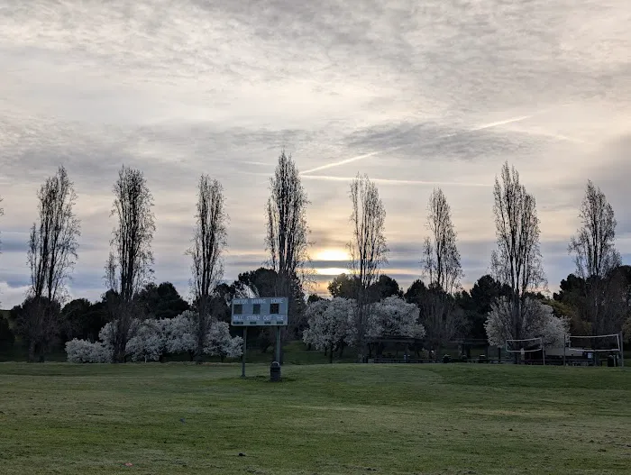 Benicia Dog Park 5