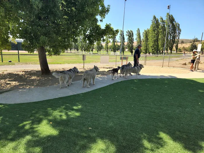 Benicia Dog Park 10