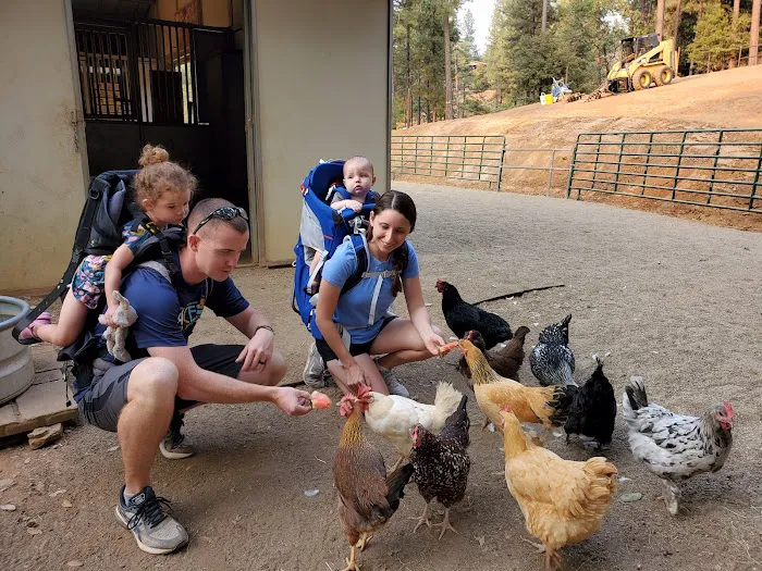 Dog & Pony Ranch 4