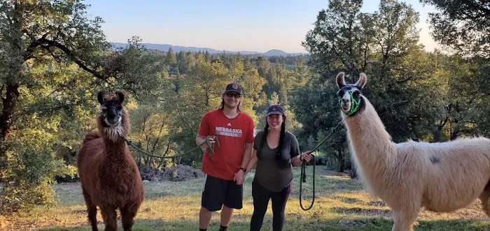 Dog & Pony Ranch 1