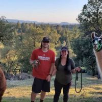 Dog & Pony Ranch ico
