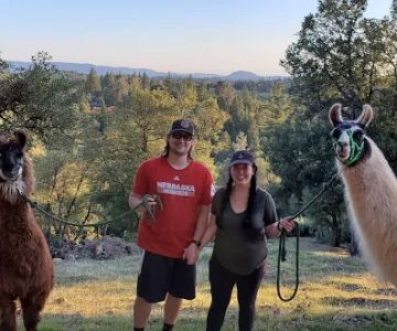 Dog & Pony Ranch