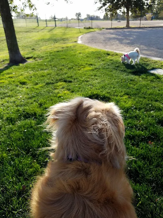 Michael Faklis Park 5
