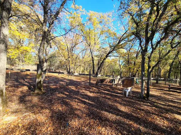 Dogs Run Free 8