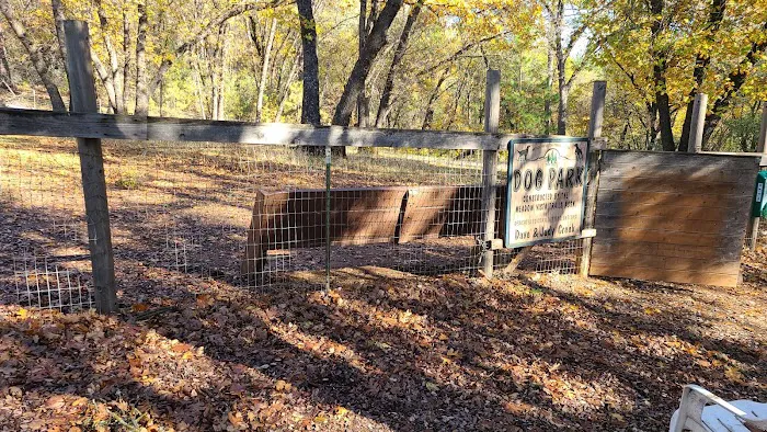 Dogs Run Free 4