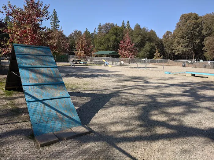 Dog Training Area 2