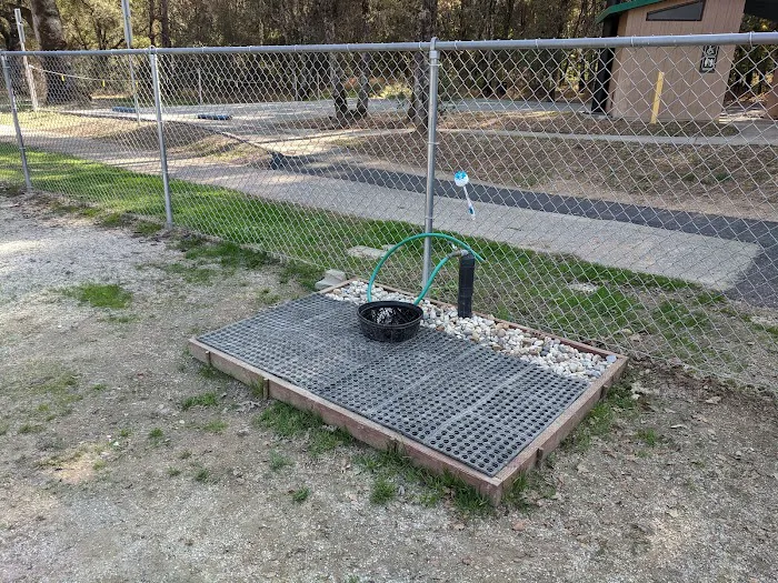 Dog Training Area 6
