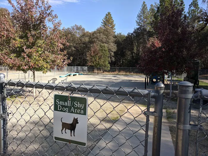 Dog Training Area 5