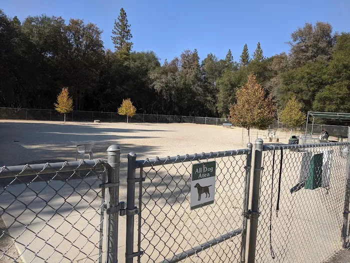 Dog Training Area 7
