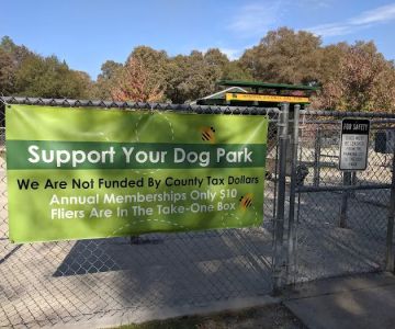 Dog Training Area