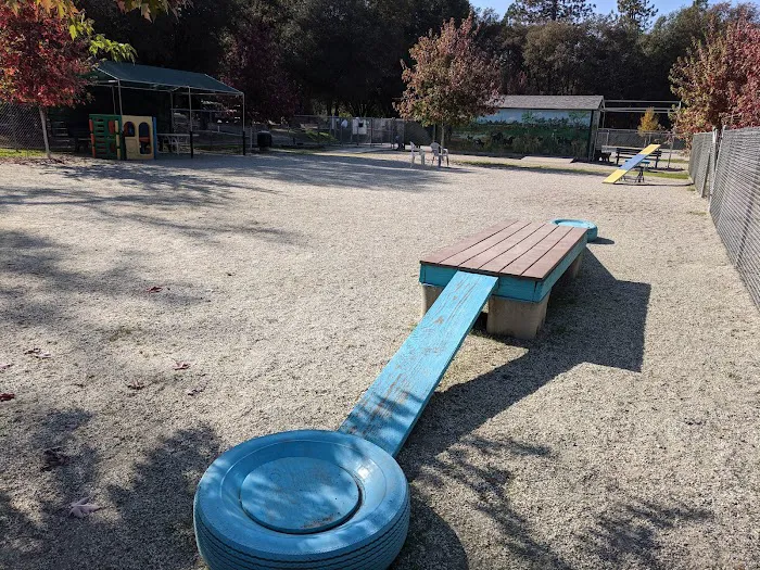 Dog Training Area 3