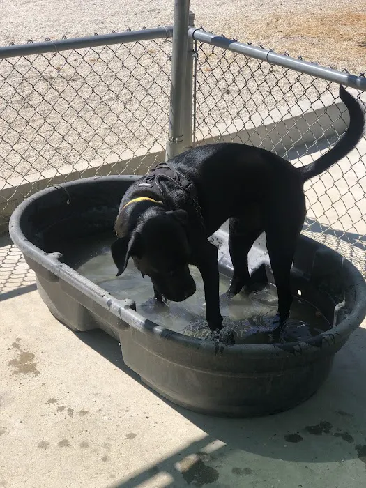Western Gateway Dog Park 3