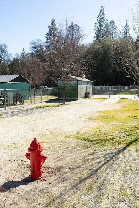 Western Gateway Dog Park 4