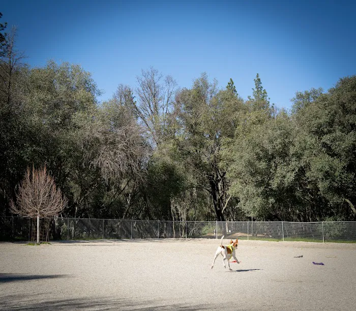 Western Gateway Dog Park 8