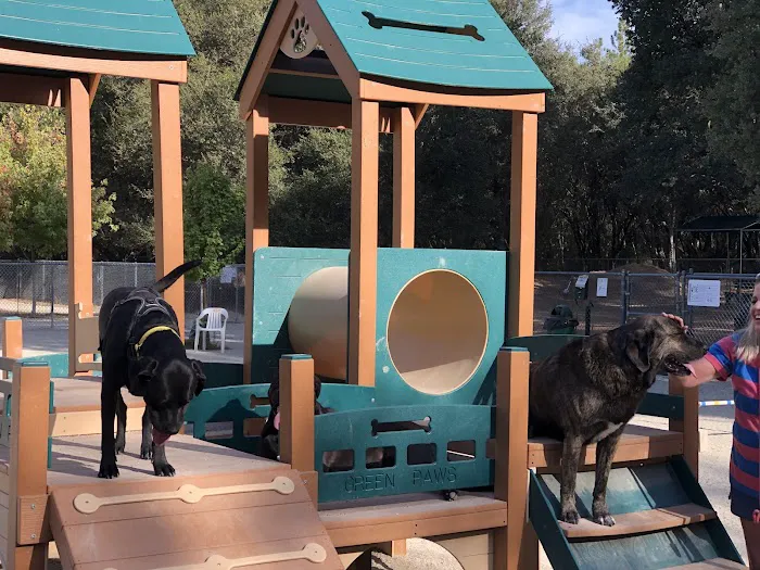 Western Gateway Dog Park 10